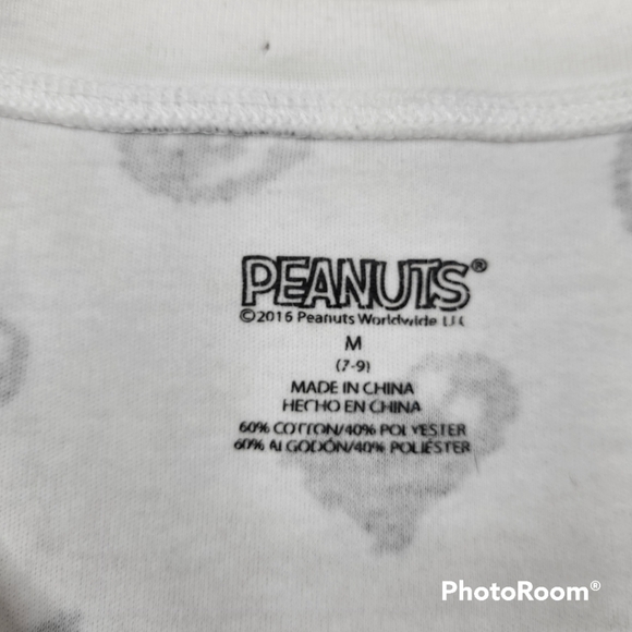 HALLOWEEN - Peanuts Great Pumpkin Snoopy Ghost - Picture 5 of 5